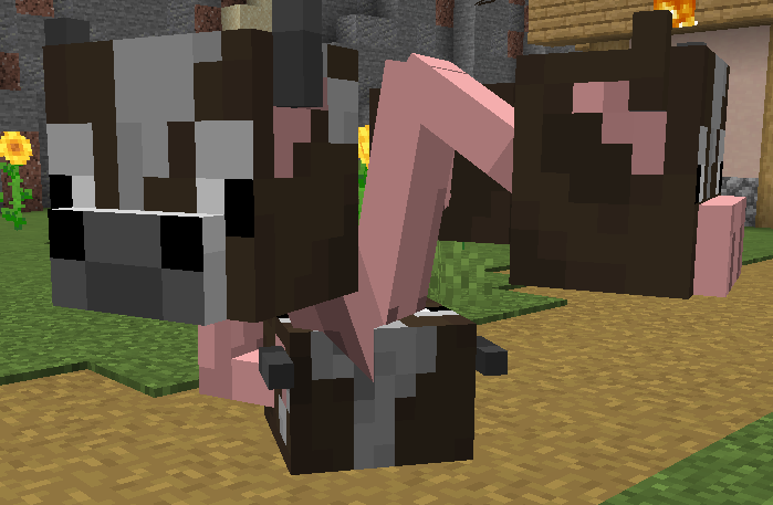 cow brain