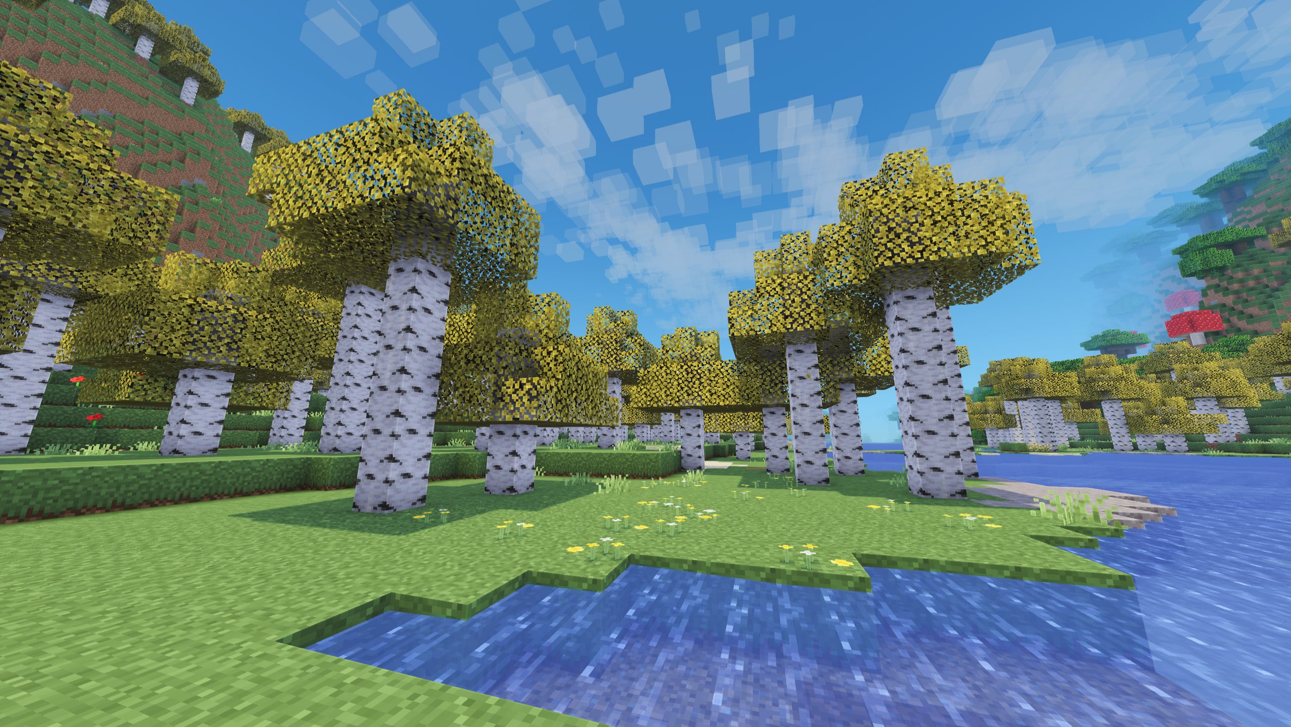 Birch Forest with Shader