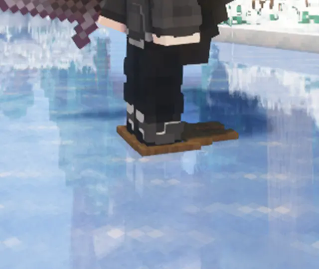 snowshoes