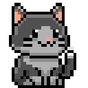 grey cat picture