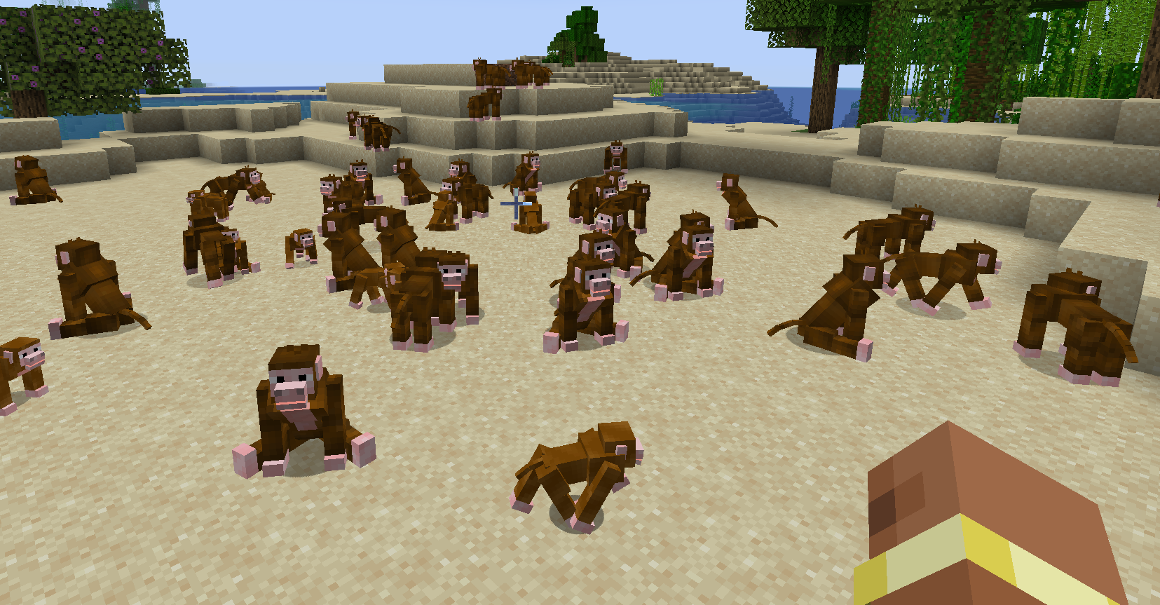 monkeys