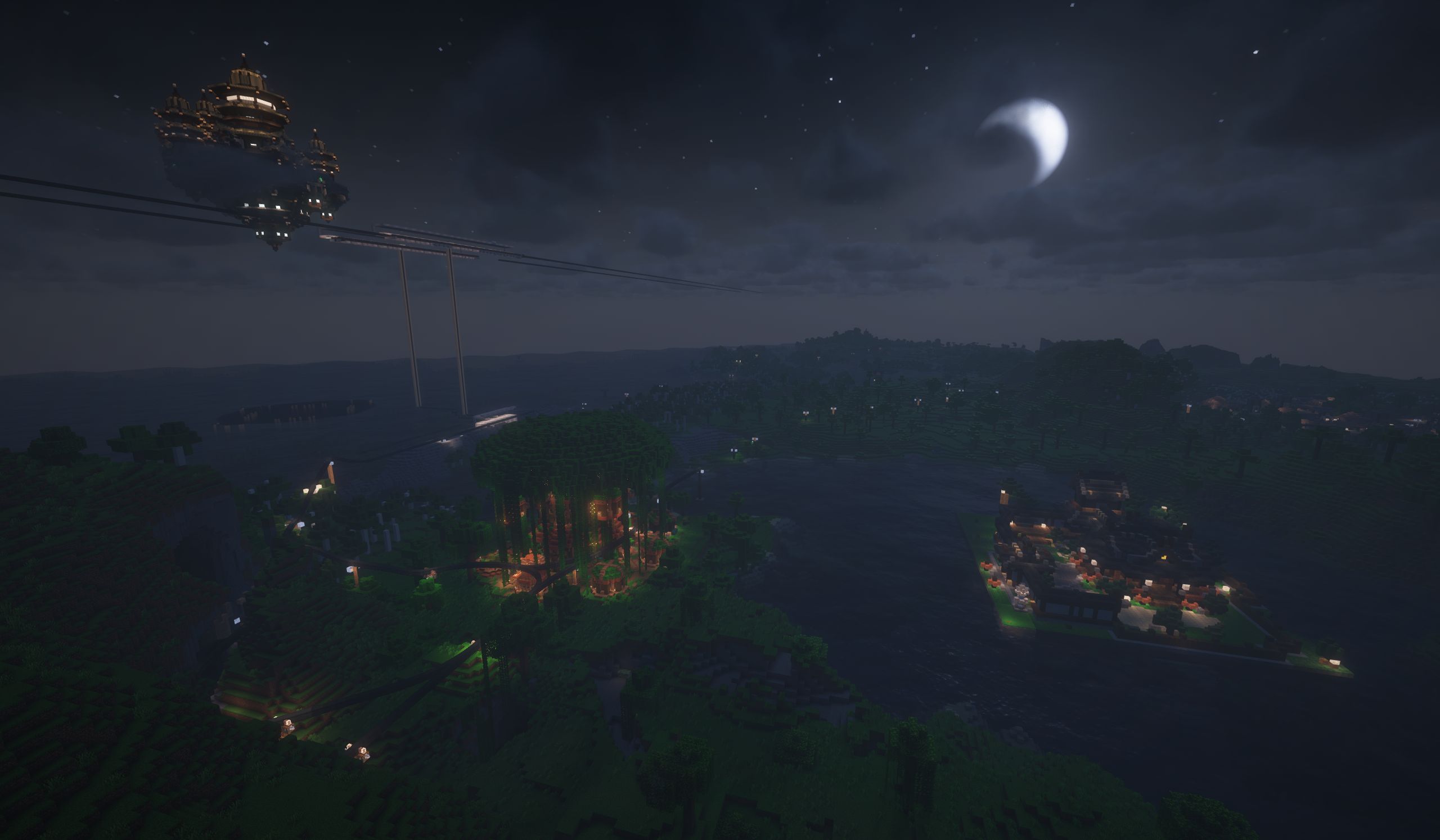 Night view of the rainforest