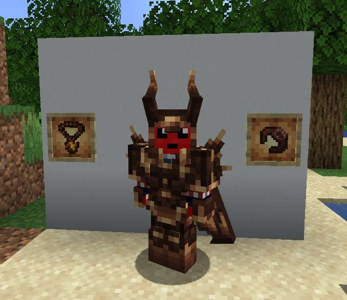 ARMOR+ACS