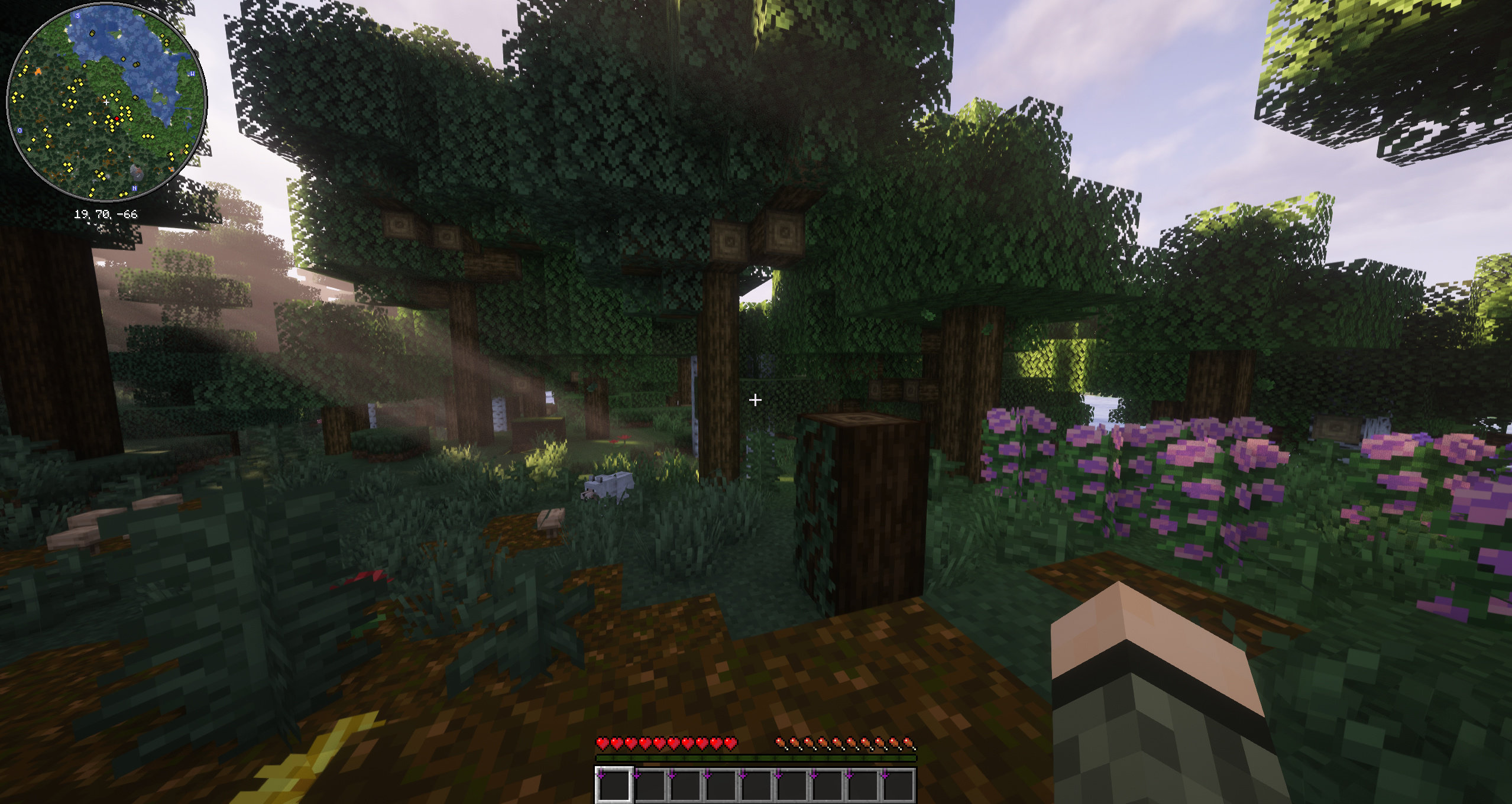 Visual2