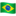 Brazil flag