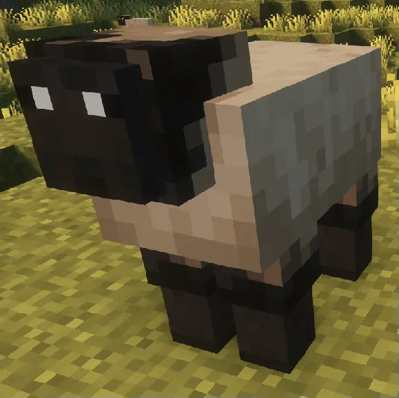 Long Nose Sheep