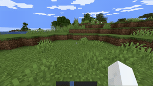 getting the wand and creating a zone