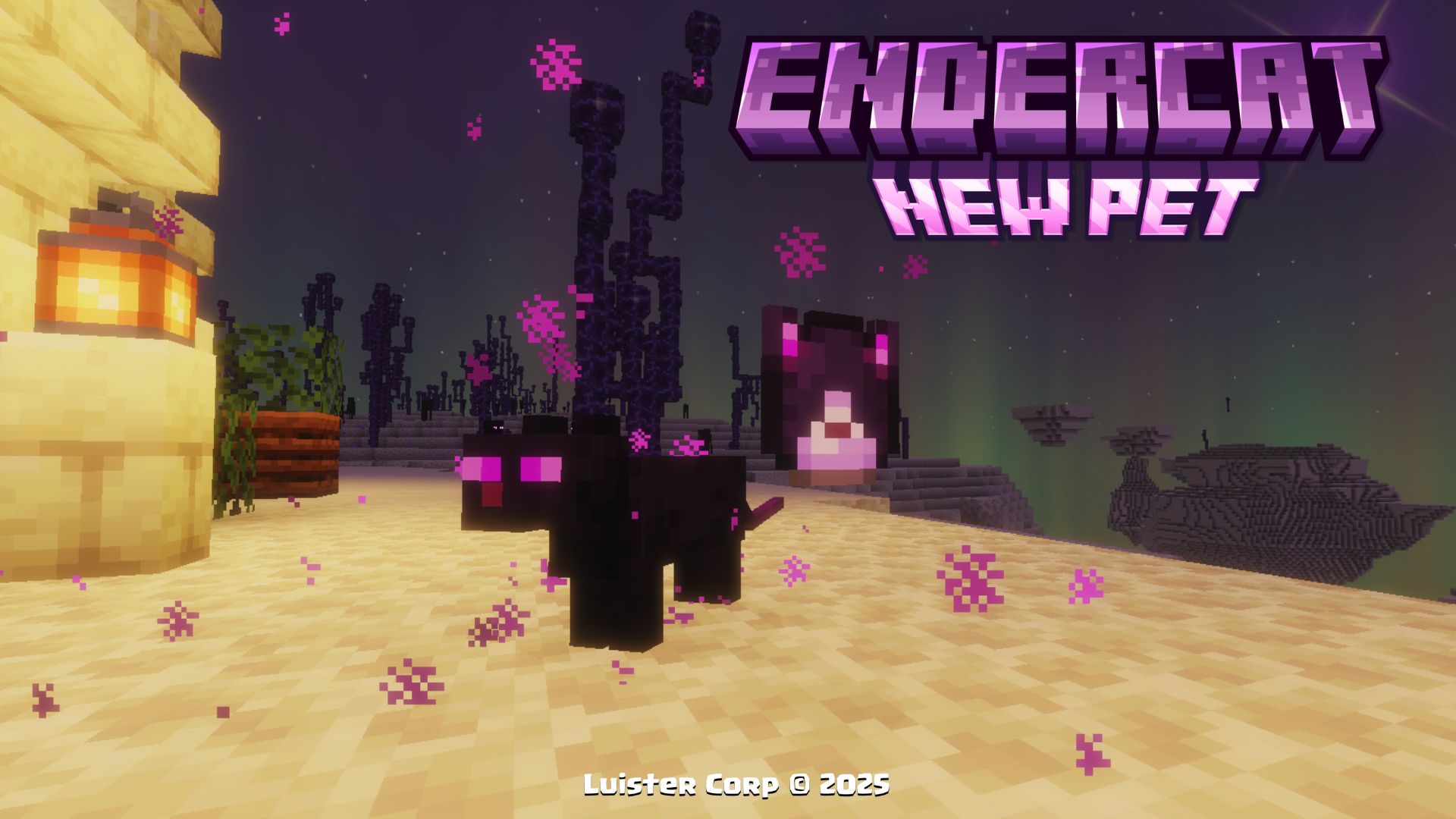 EnderCat Promotional