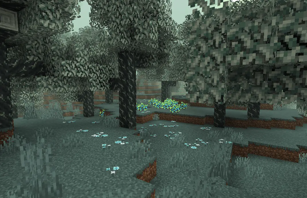 Mistjade Forest