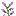 Lilac Item