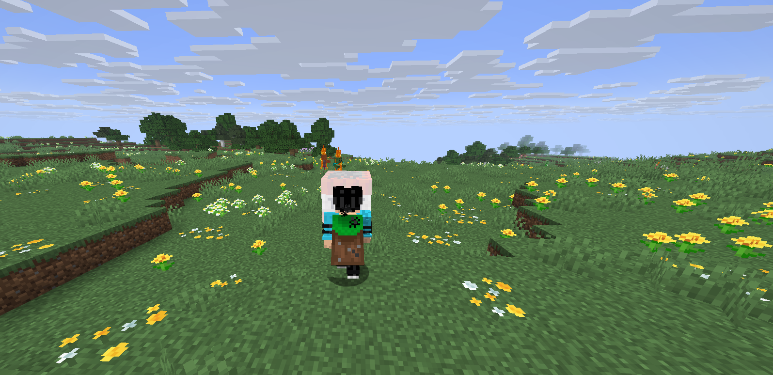 Carry_TNT