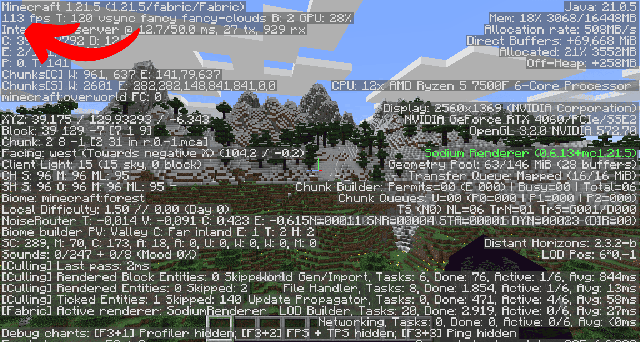 Sodium enhances the FPS