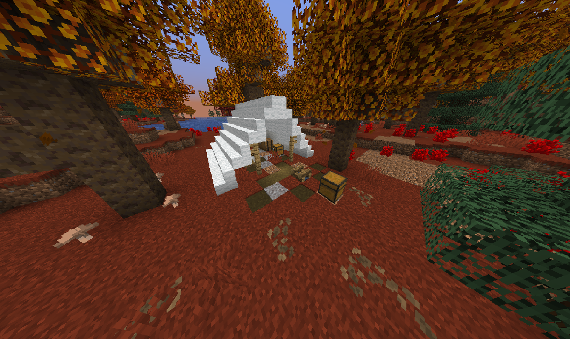 Abandoned Camp