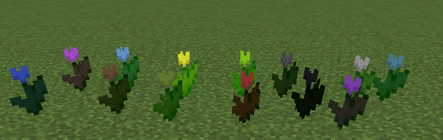 Tulips