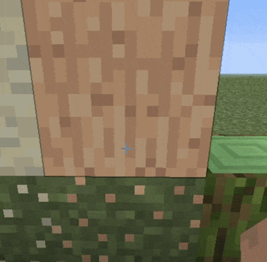 The player places a mossy oak log and eats the moss clean off!