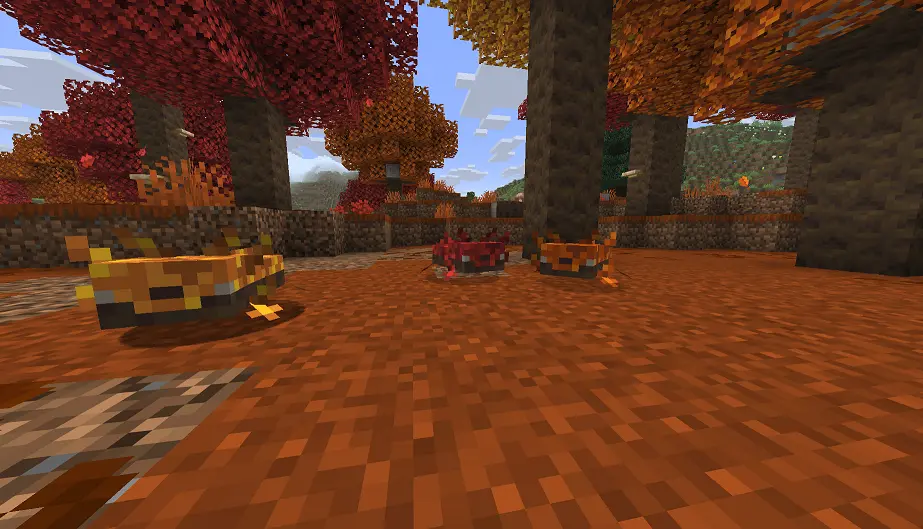 New Dappled Forest Axolotl variants in the Dappled Forest