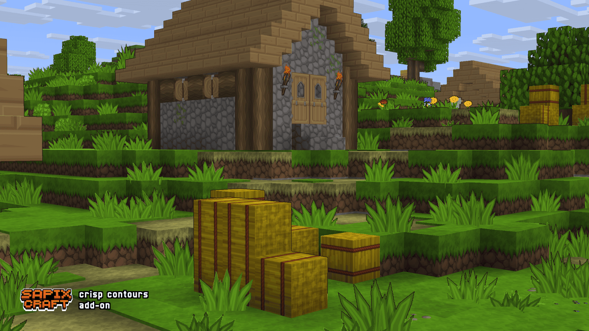 village scene