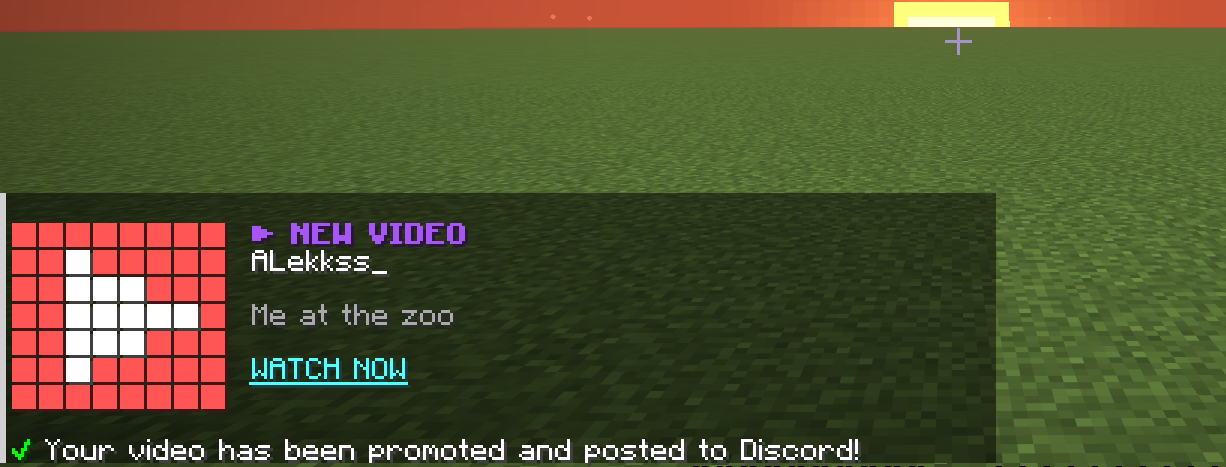 Video format