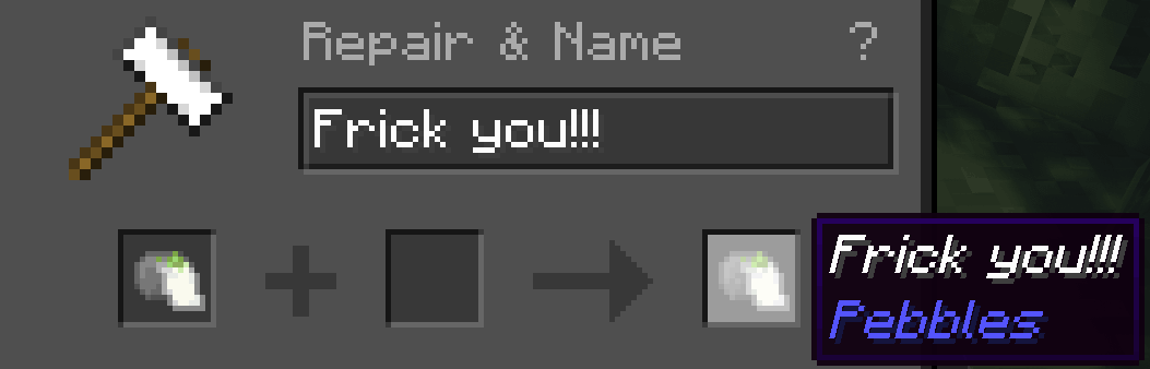 rename the item in an anvil