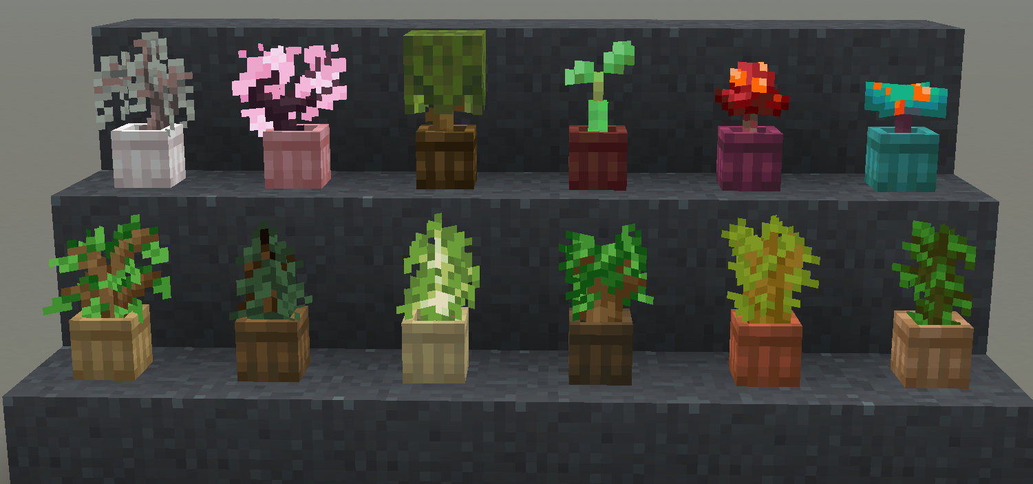 New wooden pots