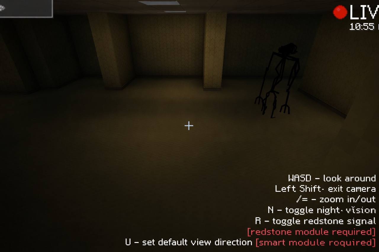 You can set up cameras to keep an eye on backroom monsters.