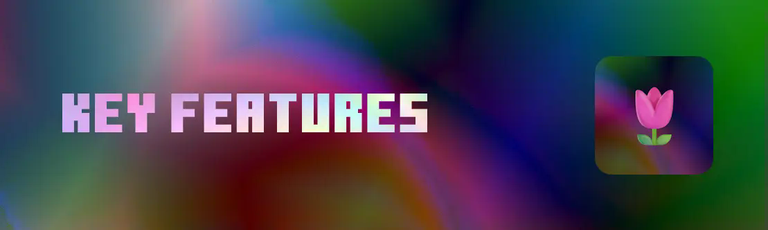 Key Features