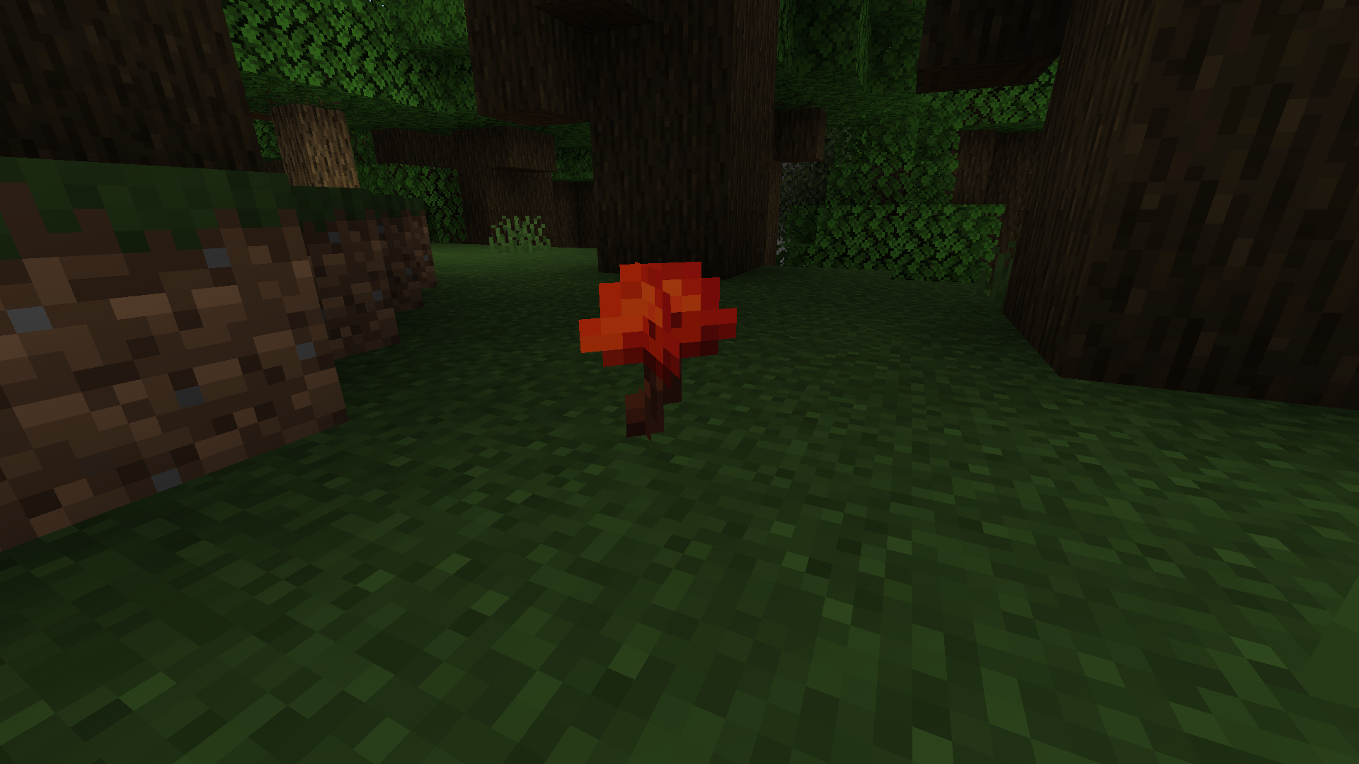 Boomshroom