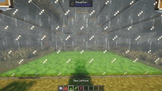 Different Kelps and Plants Becoming Taller using Bonemeal