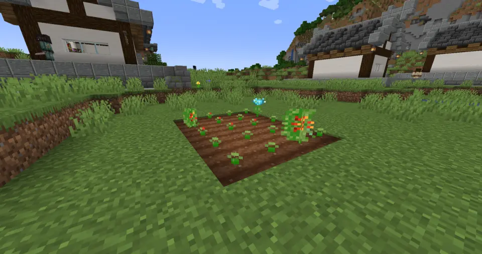 Spiritual Fields and Spiritual Plants