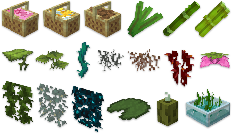 flowers and plants 4