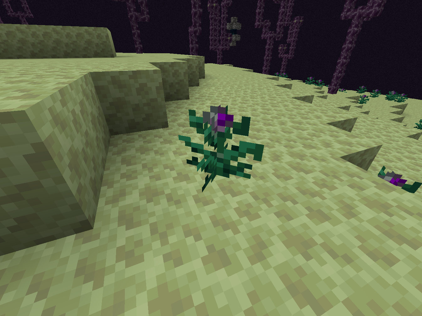 Fully grown Miteling plant