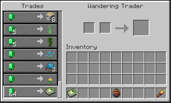 Wandering trader selling the Biology Dictionary
