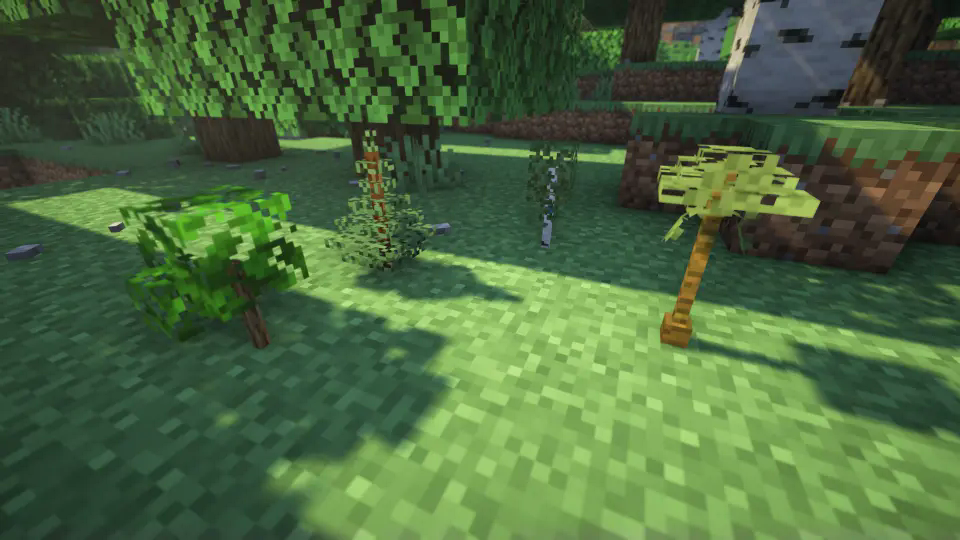 New saplings model