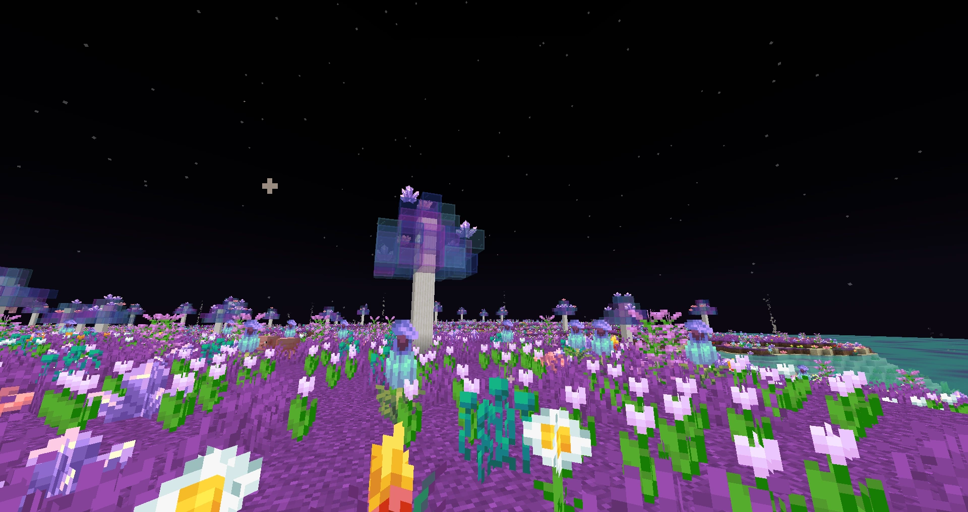 Aurora Garden