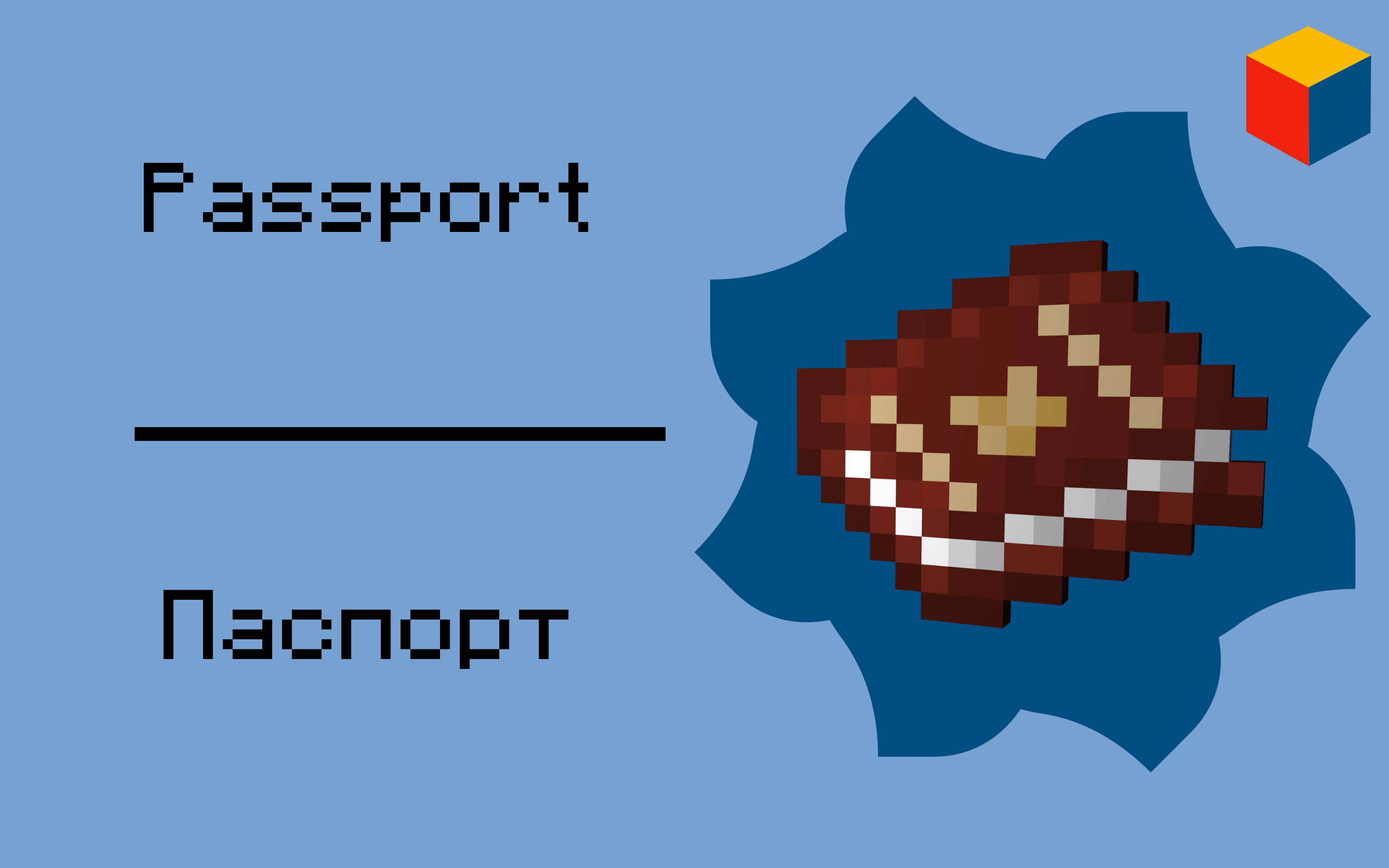 Passport