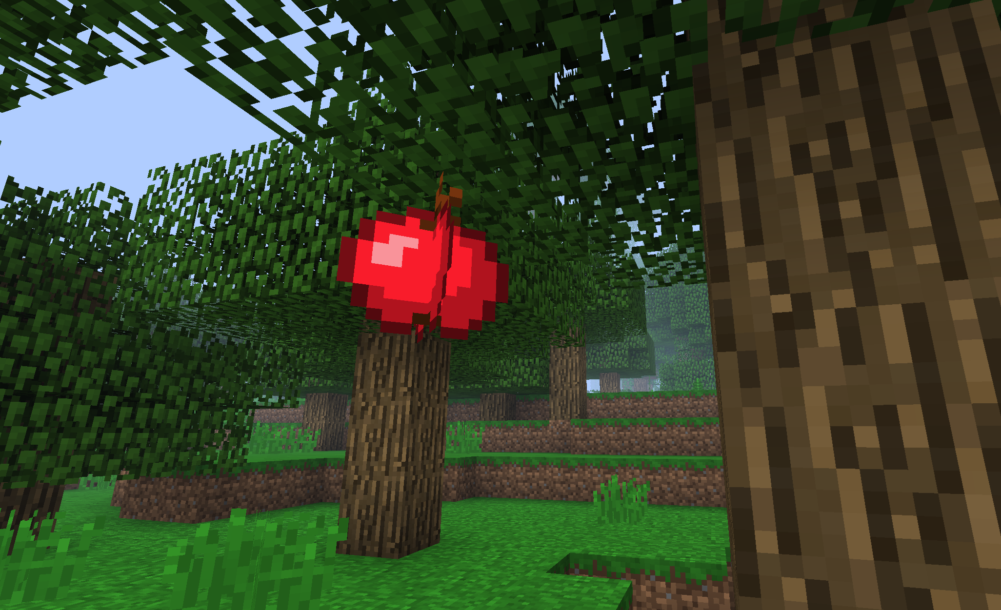 apple on tree