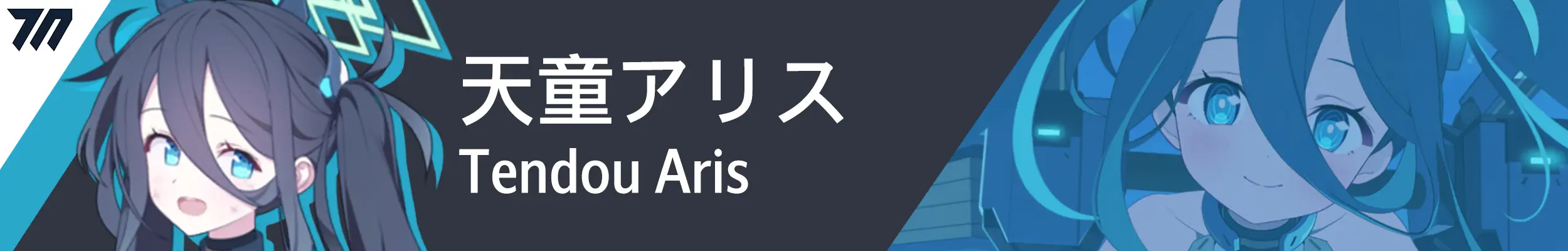 train_banner_aris_battle