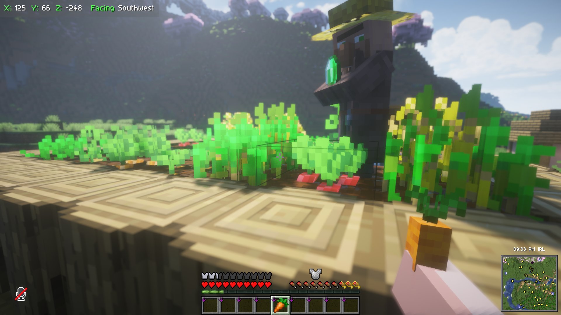 A villager stands upon a farm field. The player holds a carrot. The UI adds a voice chat icon, and armor HUD, a mini-map, a real world clock, and coordinates display.