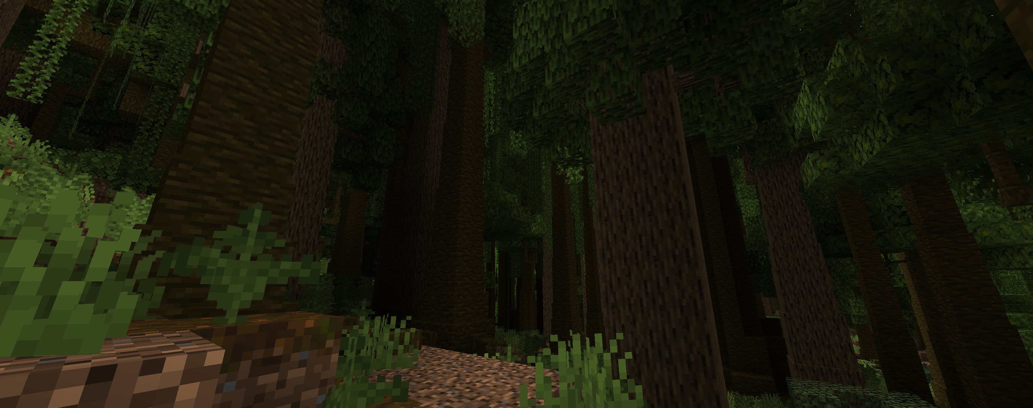 Dense rainforest