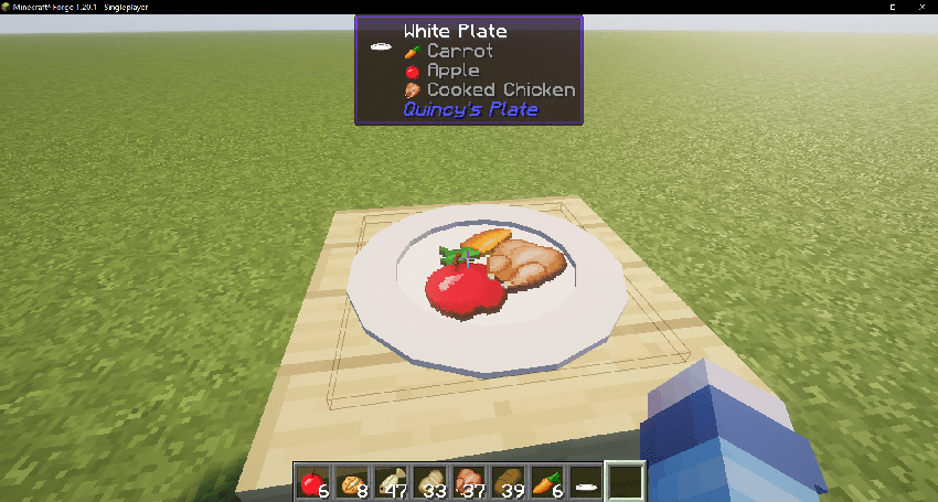 Food in Plates
