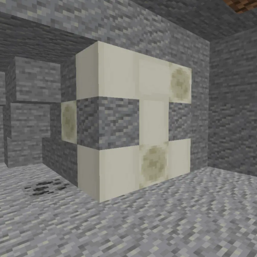 Skull Fossil in a wall with multiple Fossilized Bone Blocks