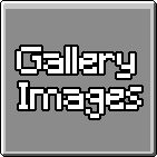 A button with text that says Gallery Images