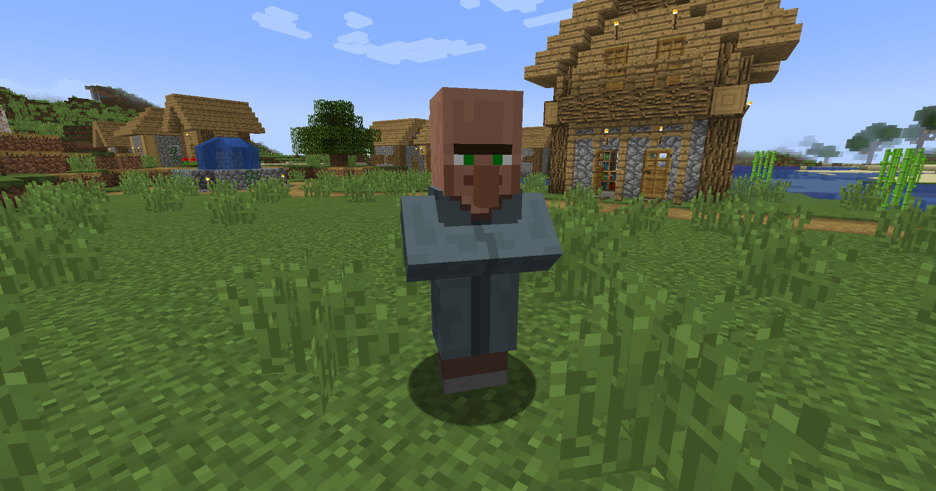Wandering Villager