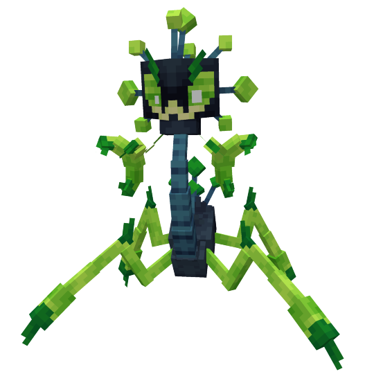 Malarach