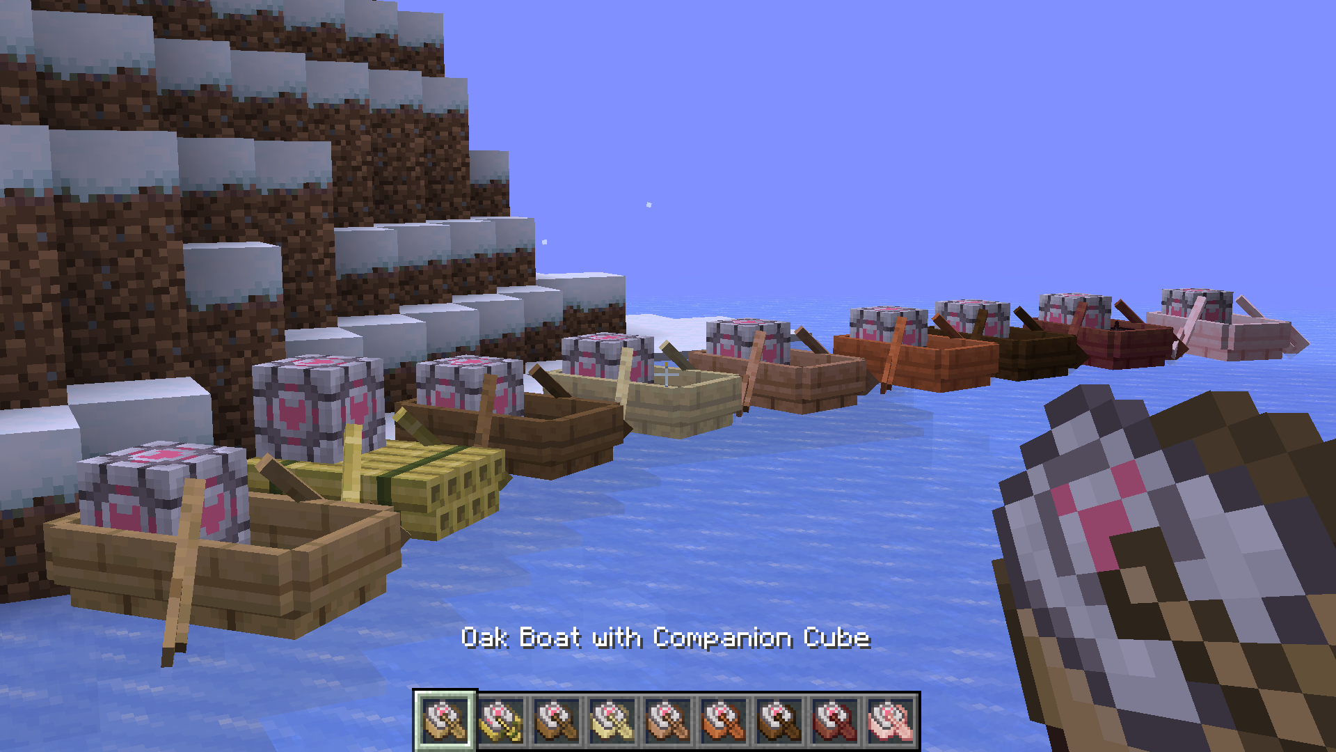 Boats with Companion Cubes