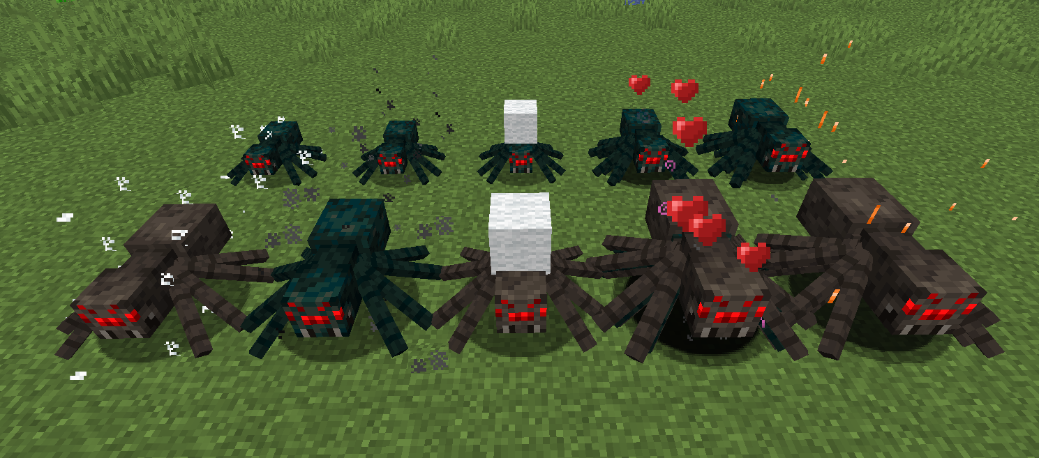 New Types of Spiders and Cave Spiders