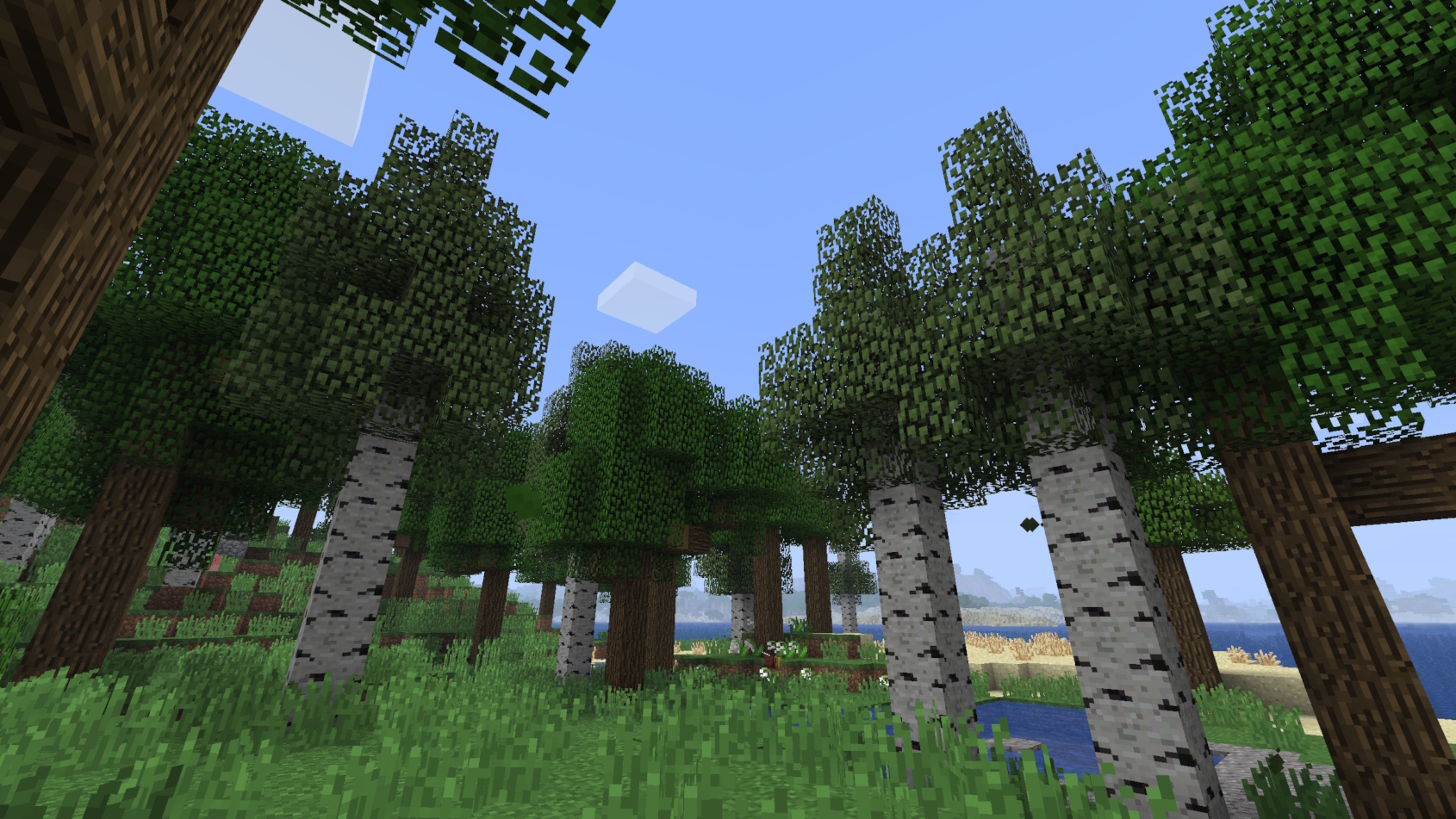 A view of the average forest with this mod installed