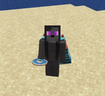 Elytra on the beach