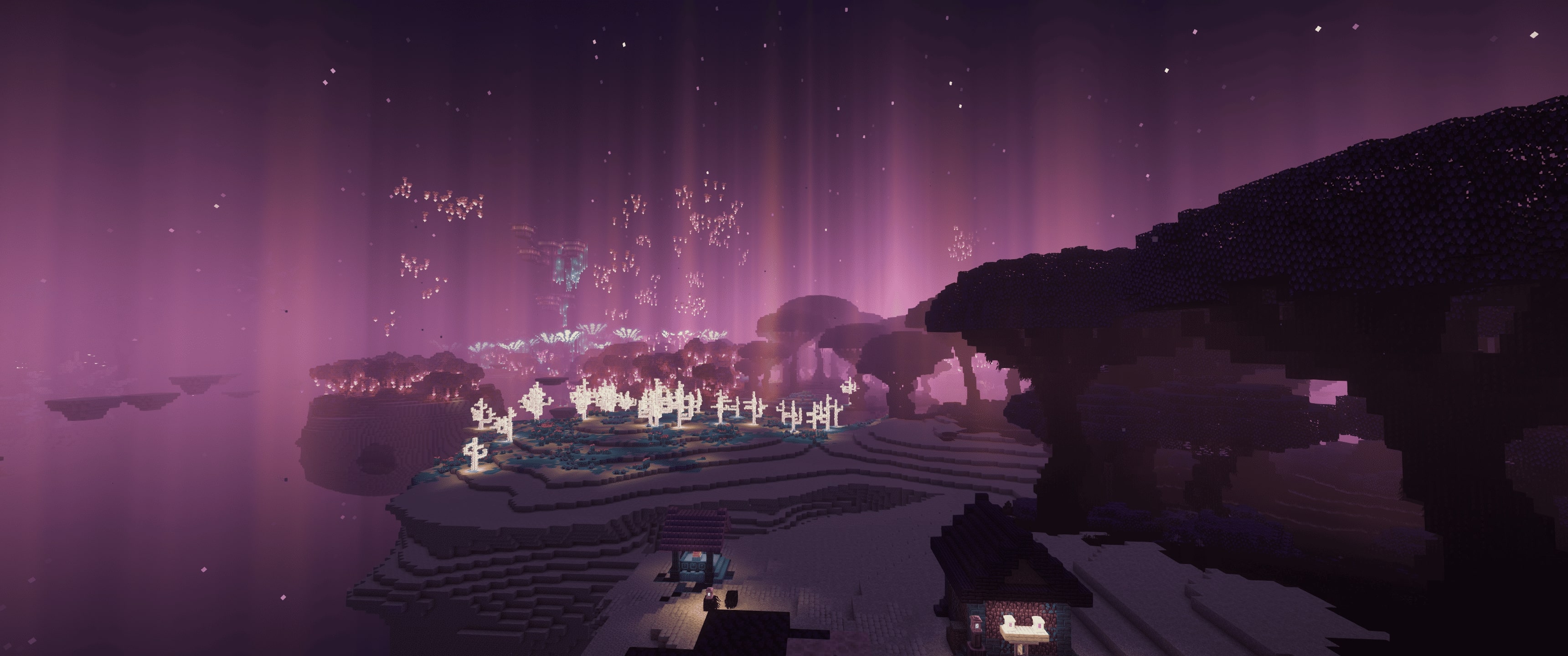 A beautiful landscape in the End Islands