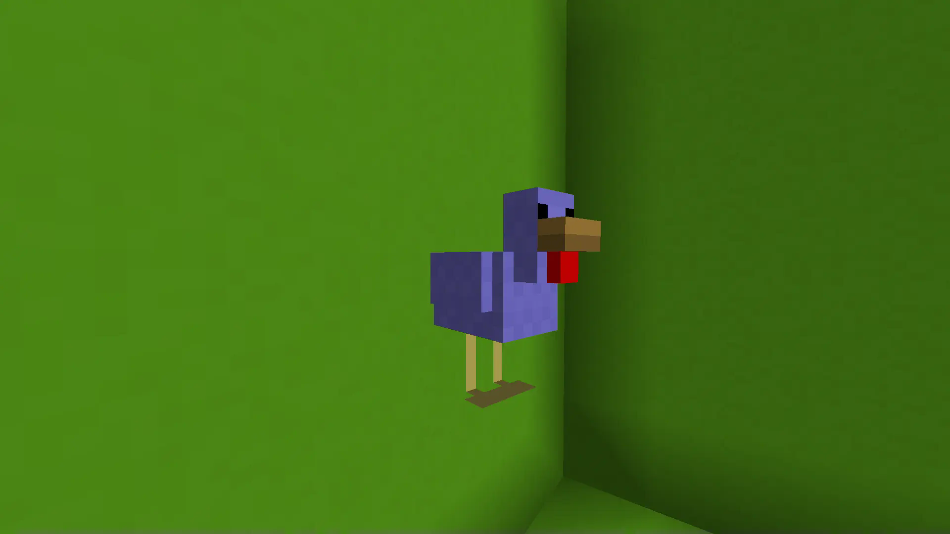 A blue chicken standing in front of a lime green concrete wall